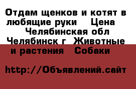 Отдам щенков и котят в любящие руки! › Цена ­ 1 - Челябинская обл., Челябинск г. Животные и растения » Собаки   